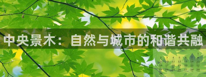 新宝创造Gg