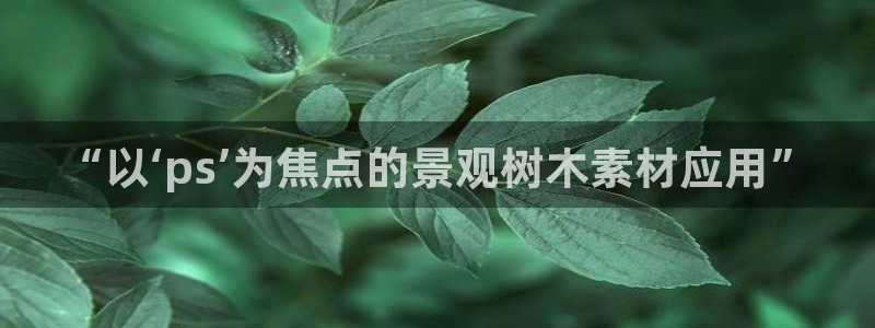 新宝GG苹果版：“以‘ps’为焦点的景观树木素材应用”