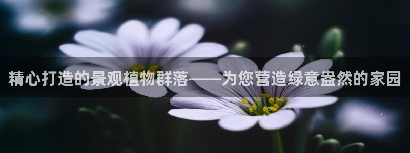 新宝gg娱乐注册全芏网：精心打造的景观植物群落——为您营造绿意盎然的家园