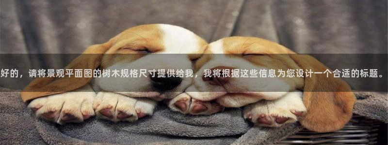 新宝gg登录线路测试：好的，请将景观平面图的树木规格尺寸提供给我，我将根据这些信息为您设计一个合适的