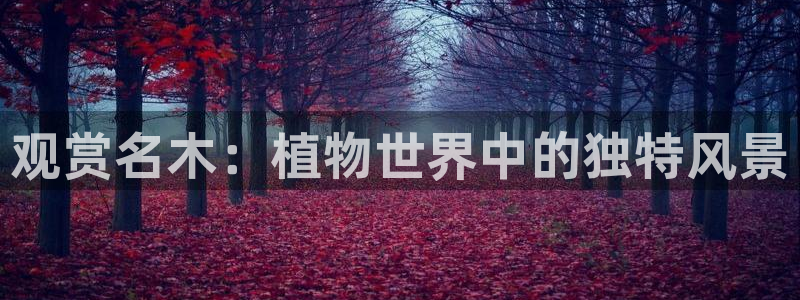 新gg官网_新宝GG创造奇迹